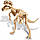 Набір для творчості 4M Скелет тиранозавра (00-03221), фото 9