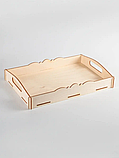 Піднос для подачі 31х21х5см 5мм, фото 2
