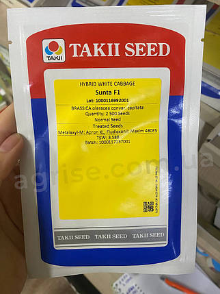 Насіння білокачанної капусти Сунта F1 (Sunta F1) Takii Seeds 2500, фото 1