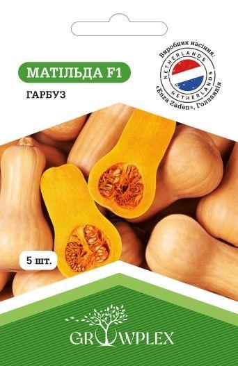 ТМ GROWPLEX Гарбуз Матільда F1 5шт (Enza Zaden)