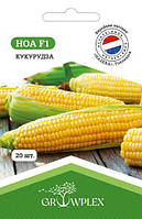 Семена кукурузы Ноа F1 20 шт (Clause) ТМ GROWPLEX