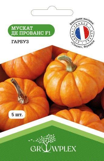Насіння гарбуза Мускат де Прованс F1 5шт (Clause) ТМ GROWPLEX