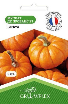 Насіння гарбуза Мускат де Прованс F1 5шт (Clause) ТМ GROWPLEX, фото 1