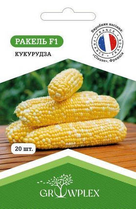 Насіння кукурудзи Ракель F1 20 шт (Clause) ТМ GROWPLEX, фото 1