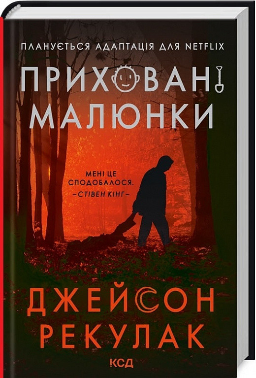 Книга Приховані малюнки. Джейсон Рекулак, фото 1