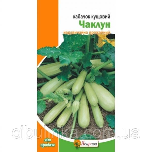 Насіння Кабачок Чаклун Яскрава (Фасовка: 3 г)