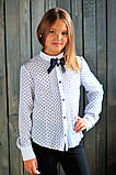 Шкільна блуза в горошок для дівчинки (синій) 122р, фото 2