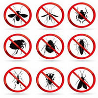 ІНСЕКТИЦИДИ (засоби боротьби з шкідливими комахами)