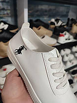 Кеды БЕЛЫЕ кроссовки с логотипом POLO на высокой подошве экоКожа All WHITE женские весна, фото 4