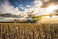 Claas прибирання CLAAS LEXION 8000 / 7000