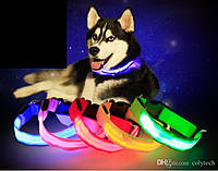 Нашийник, що світиться, Светящийся ошейник для собак, LED ошейник с usb