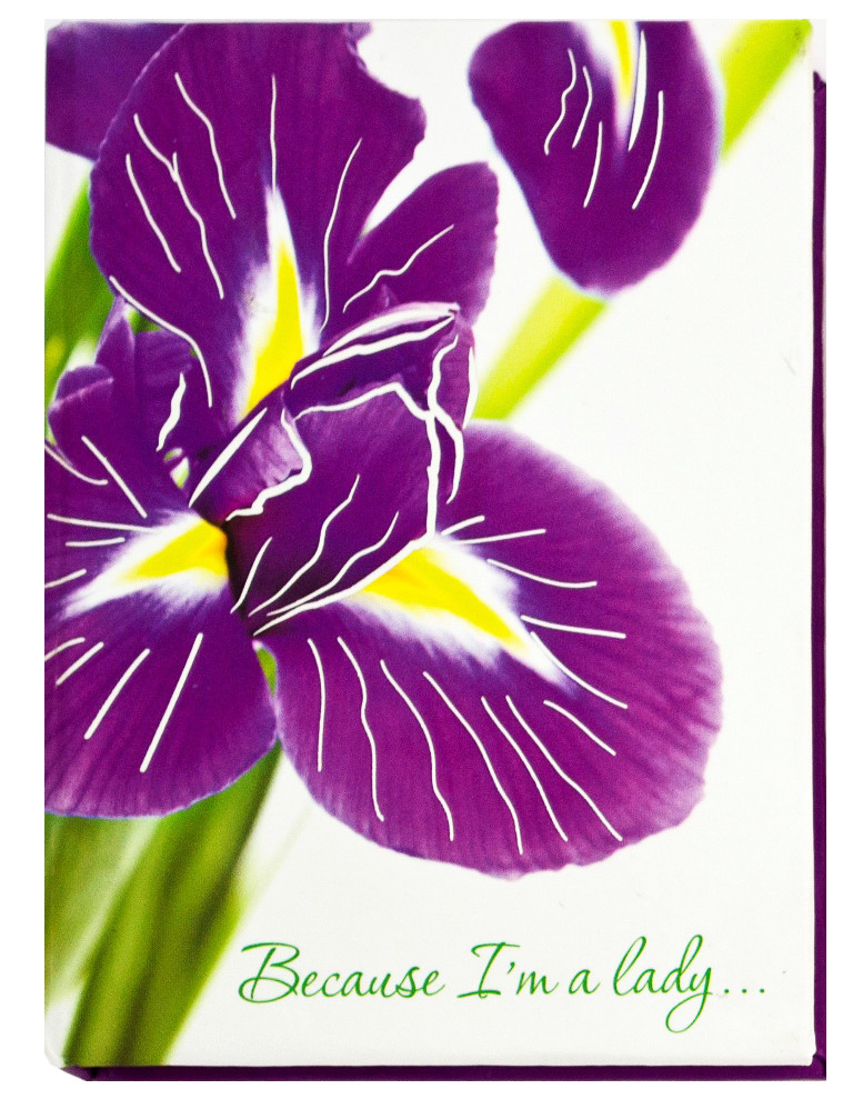 Набір стикерів Leo "Because I am а lady" (папір + Пластикові індекси) L1225 Leo