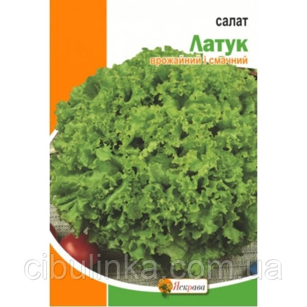 Насіння Салат Латук Яскрава 10 г, фото 1
