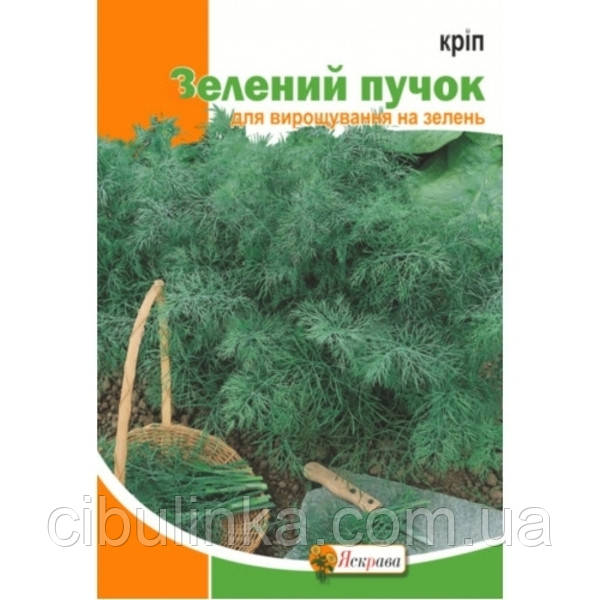 Насіння Кріп Зелений пучок Яскрава (Фасовка: 20 г), фото 1