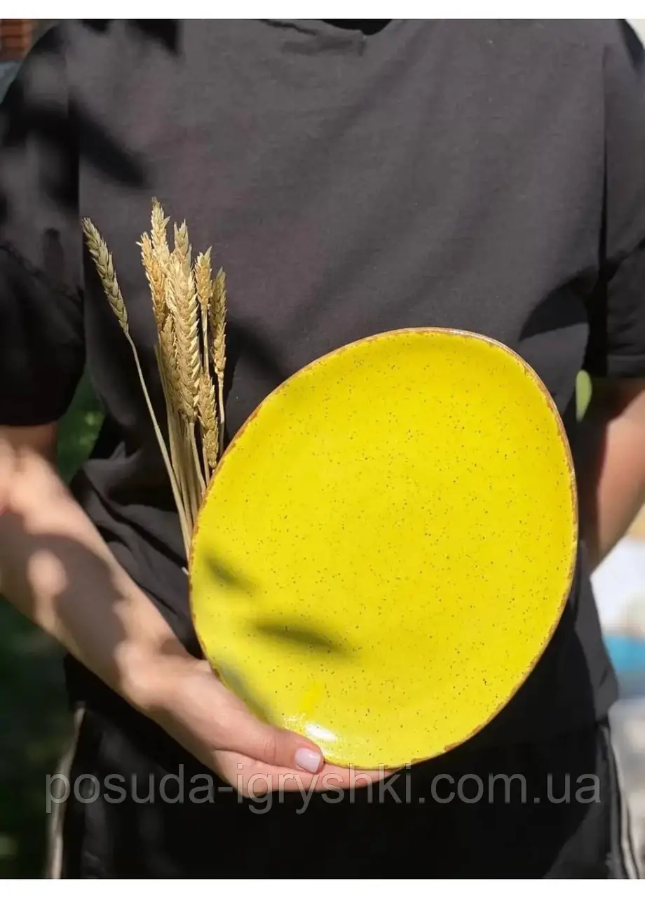 Тарілка овальна Sand Space Freedom Yellow FY-2622 22х26 см жовта Power комбінована
