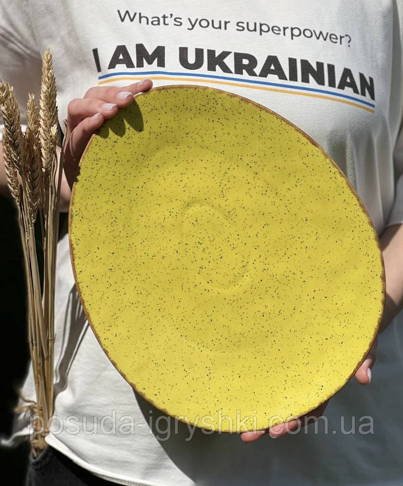 Тарілка овальна Sand Space Freedom Yellow FY-3024 30х24.5 см жовта Power комбінована
