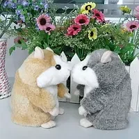 Мовець хом'як, хом'як повторюшка