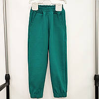 Детские спортивные штаны для мальчика 80 (140см-146см), Зеленый