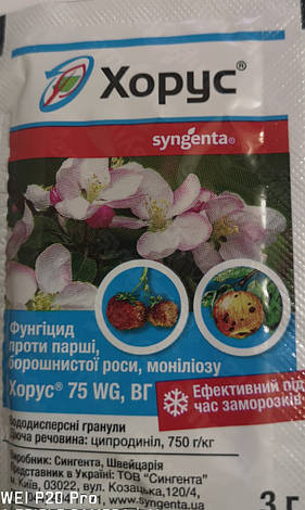 Хорус 3г., фото 1