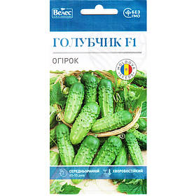 Насіння огірка для теплиць і відкритого грунту, раннього "Голубчик" (0,5 г) від ТМ "Велес"
