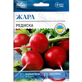 Насіння редису раннього, великого, для теплиць "Жара" (15 г) від ТМ "Велес"