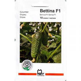 Насіння огірка ультрараннего, самоопыляемого "Беттіна" F1 (10 насінин) від Nunhems, Голландія