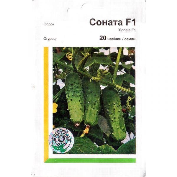 Насіння огірка раннього, для відкритого ґрунту "Соната" F1 (20 насінин) від Rijk Zvaan, Голландія