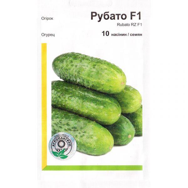 Насіння огірка самозапильного, ультрараннього "Рубато" F1 (10 насінин) від Rijk Zwaan, Голландія