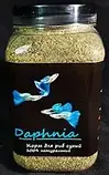 Буся Daphnia (Дафнія) для риб 100 г / 600 мл, фото 3