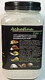 Буся Achatina Fito (Ахатин Фіто) для равликів ахатин, архахатин, ліміколярій 250 г/450 мл, фото 3