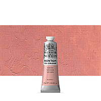 Масляная краска WINSOR & NEWTON WINTON OIL PAINT 37ML PALE ROSE BLUSH