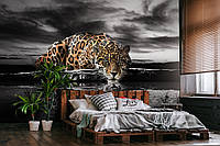 Пума 3Д фото обои 368x254 см Леопард на черно-белом фоне (14419P8)+клей