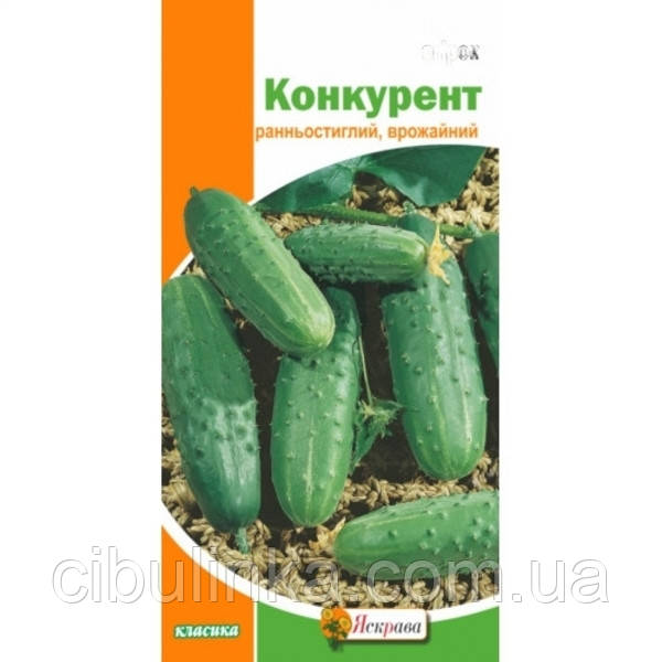 Огірок Конкурент (ранньостиглий) 1 г, фото 1