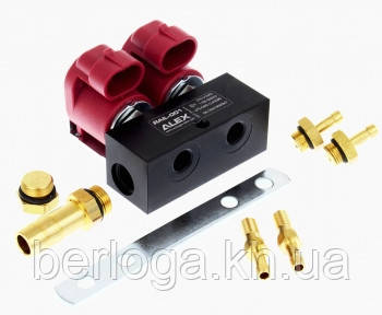 Форсунки RAIL-001 (Alex) у рейці на 2 цил. (3 Ом)