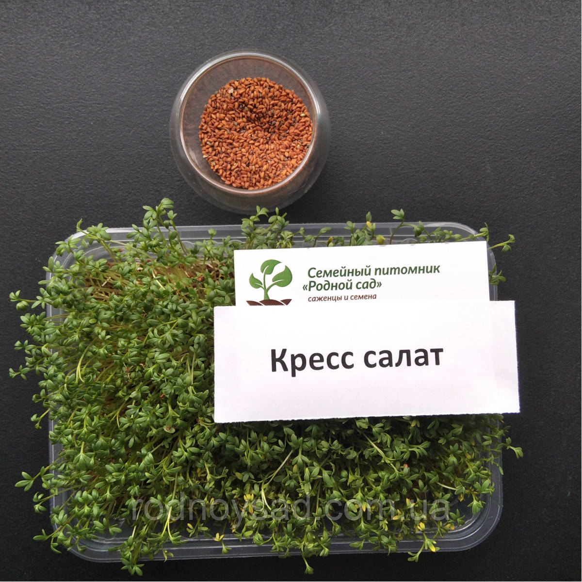 Крес салат насіння для мікрозелені (5 грамів)