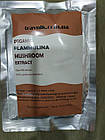 Енокі, фламуліна екстракт 50% полісахаридів (100 грамів)