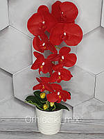 Композиция из Латексных орхидей Премиум класса на Одну веточку в Пластиковом горшочке