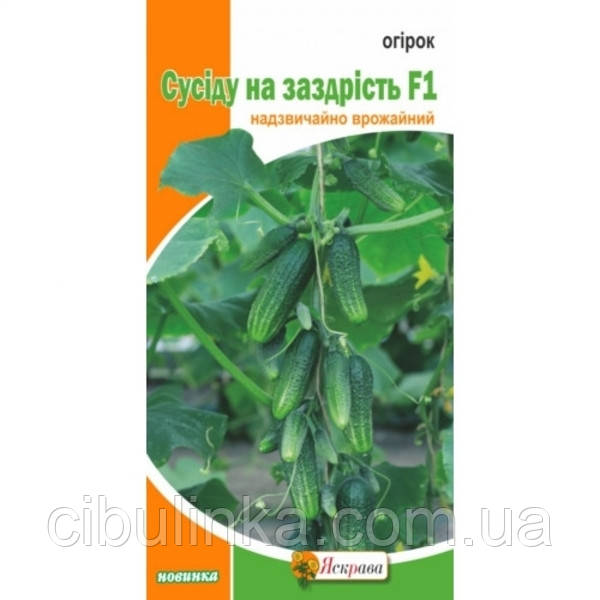 Насіння Огірок Сусіду на заздрість F1 Яскрава 0,5 г., фото 1