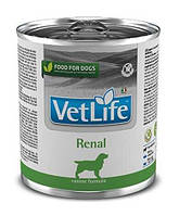 Влажный корм Farmina Vet Life Dog Renal для собак с заболеванием почек 300 г