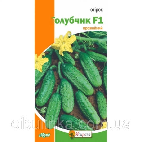 Насіння Огірок Голубчик F1 Яскрава (Фасовка: 0,5 г.), фото 1