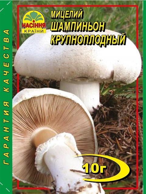 Мицелий гриба Шампиньон крупноплодный, 10 г - фото 1 - id-p1755412502
