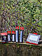 Ліхтар Trakker Nitelife Bivvy Light Remote (150 3,7v 2500mAh), фото 2