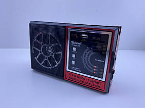 Компактний FM радіо приймач автономний Golon RX-002UAR