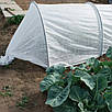Агроволокно біле 50 г/м² 1,1х5 м, покривний спанбонд, агротканина для парника, Bradas, Польща, фото 8