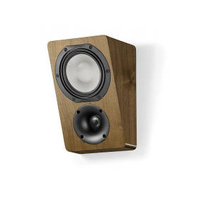 Canton Townus AR 5 Walnut