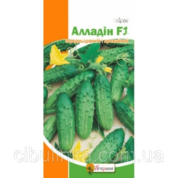Огірок Алладін F1 Яскрава (Фасовка: 0,5 г), фото 1