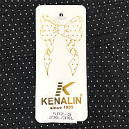Штани жіночі бавовна з бамбуком Kenalin, розмір 2XL-3XL, чорні, 507-3, фото 4