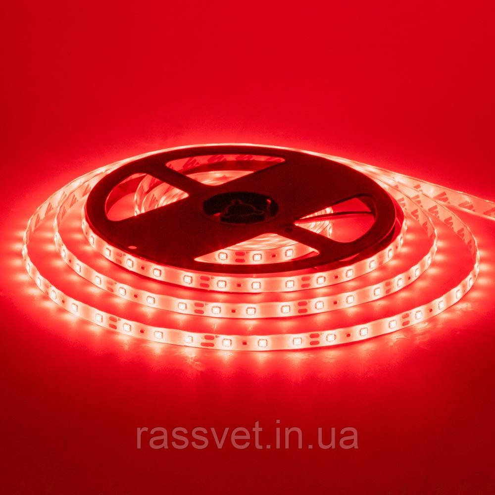 Світлодіодна стрічка червона 12V smd2835 60LED/м IP65