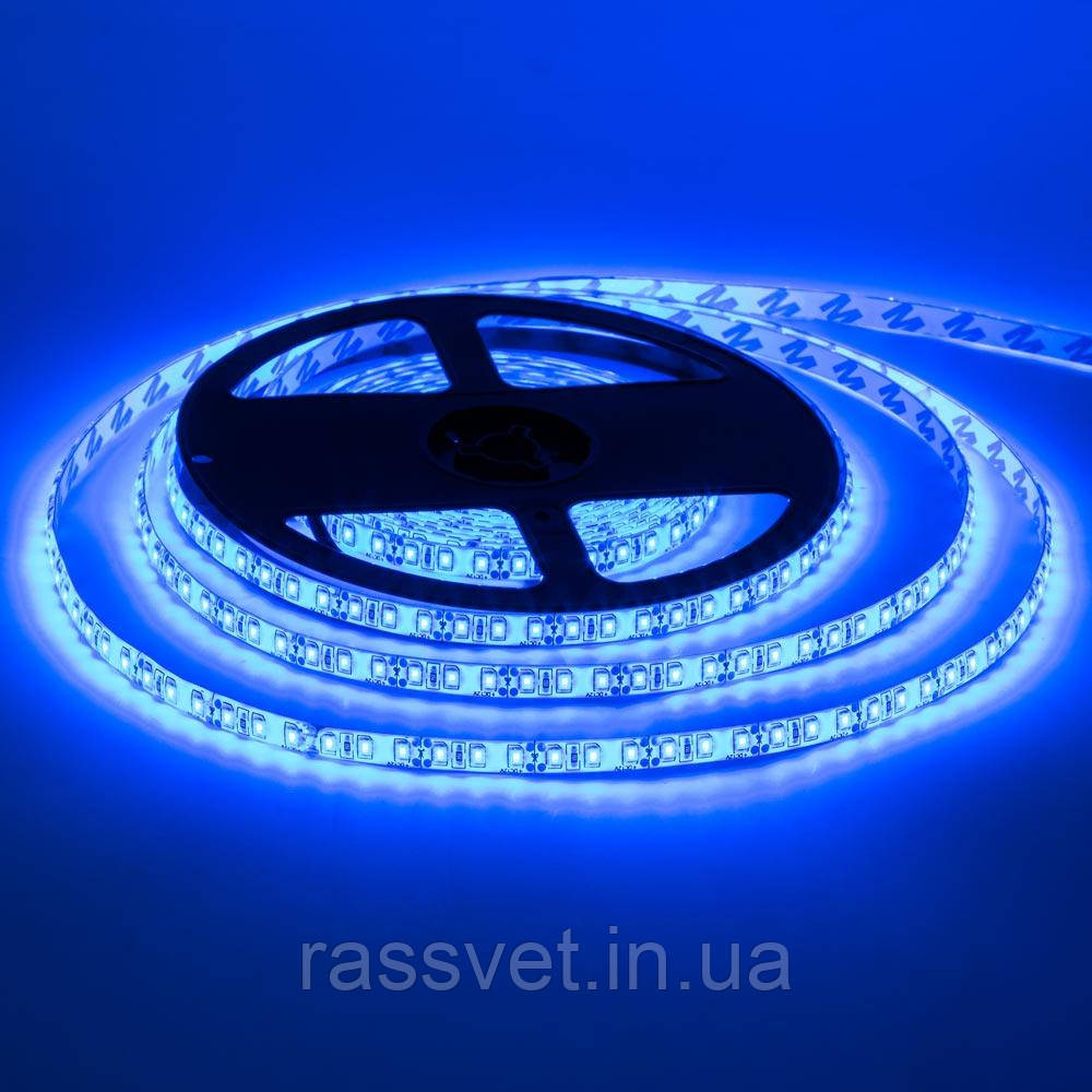 Світлодіодна стрічка синя 12V smd2835 120LED/м IP20