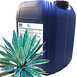 Комплексна суміш Кактусдля Текіли, світяться, при ультрафіолетовому освітленні 6530, фото 3